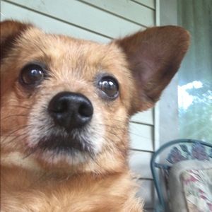 Meet your Posher, Bethany